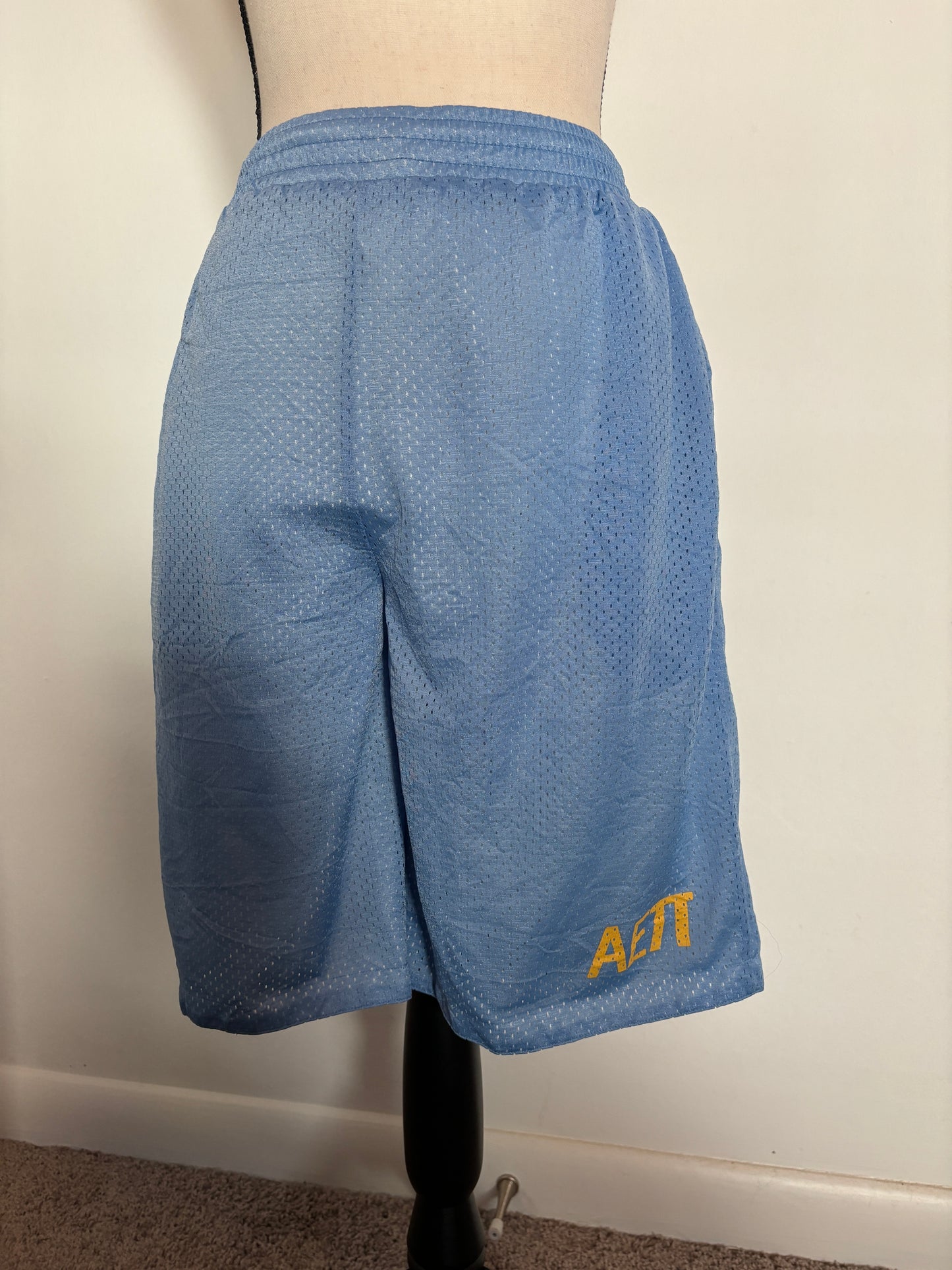 Alpha Epsilon Pi Fraternity Reversible Mesh Basketball Shorts