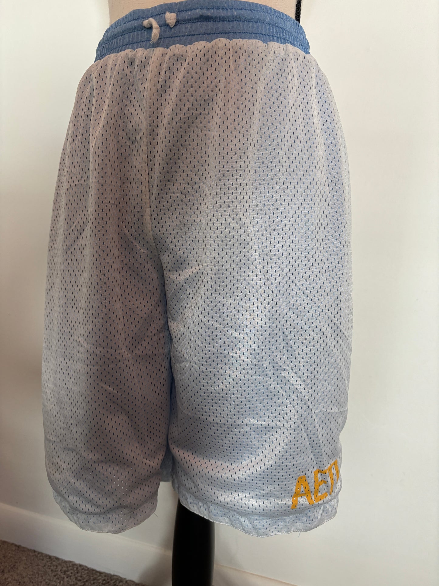 Alpha Epsilon Pi Fraternity Reversible Mesh Basketball Shorts